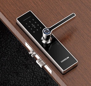 Khóa cửa vân tay Goodum H5800