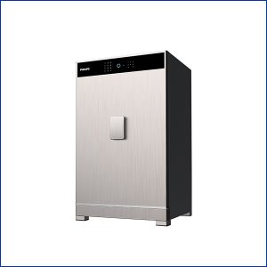 Két Sắt Vân Tay Philips Cao Cấp - An Toàn - Sang Trọng (Giá: 2025)