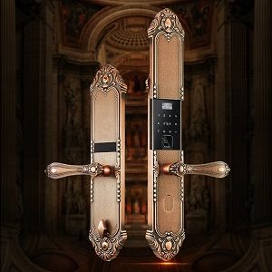 Khóa vân tay cổ điểnTenon F3