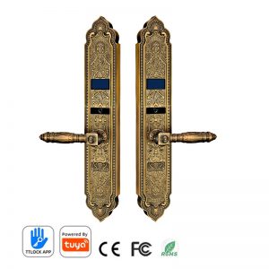 Khóa tân cổ điển vân tay Hilux 1108