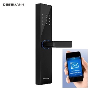 Khóa vân tay Wifi Dessmann A110 ( Đức) Khóa vân tay Wifi Dessmann A110 ( Đức)