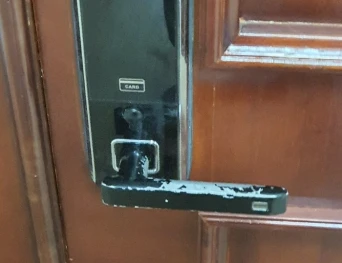 Khóa cửa vân tay Dessmann ( Đức) có tốt hay không?