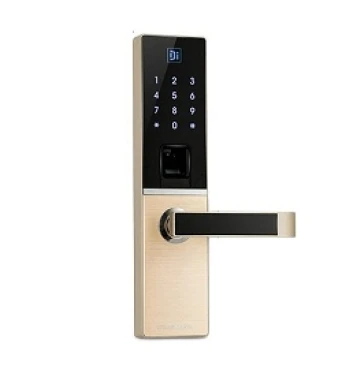 Khóa vân tay cho cửa đại sảnh biệt thự cao cấp