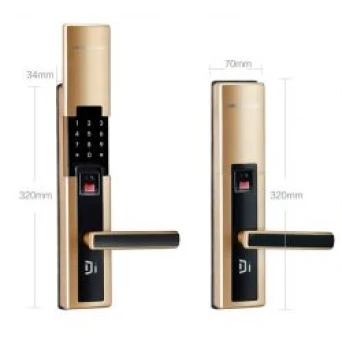 Khóa vân tay cho cửa đại sảnh biệt thự cao cấp