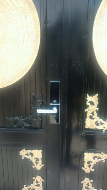 Khóa vân tay cửa chính dành cho biệt thự, nhà riêng