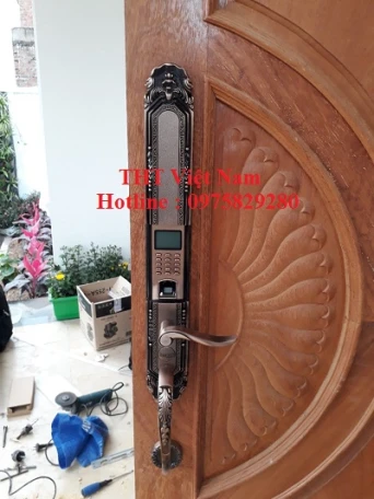 Mẫu khóa dành cho cửa đại sảnh biệt thự villa