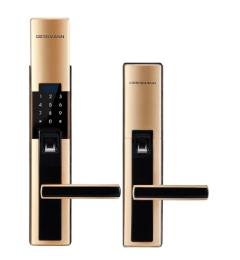 Top 3 khóa Dessmann được ưa chuộng nhất năm 2022